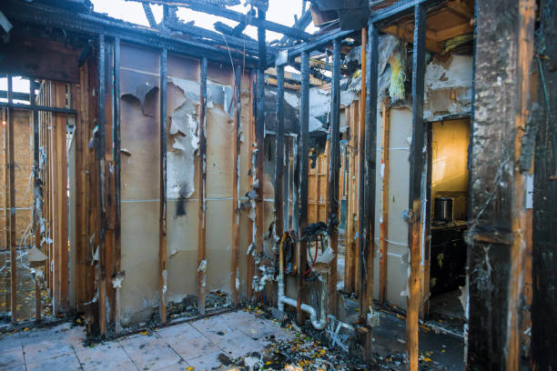 Professional Fire Damage Repair technician working in Armada, MI